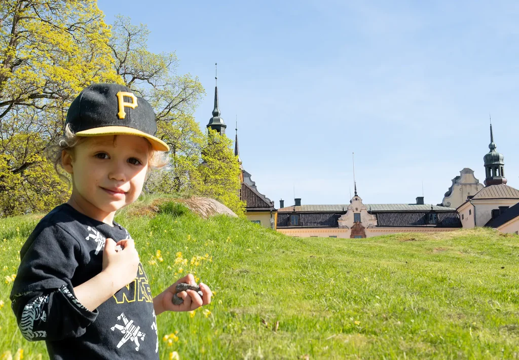 Ett barn i keps står i en backe med gullvivor, bakom skymtar ett slott